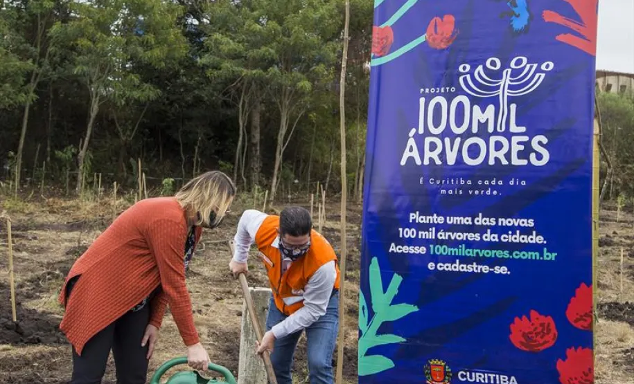 100 mil arvores