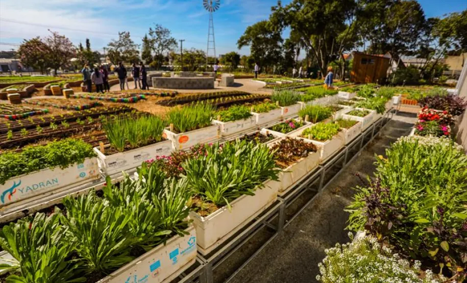 Fazenda Urbana Cajuru