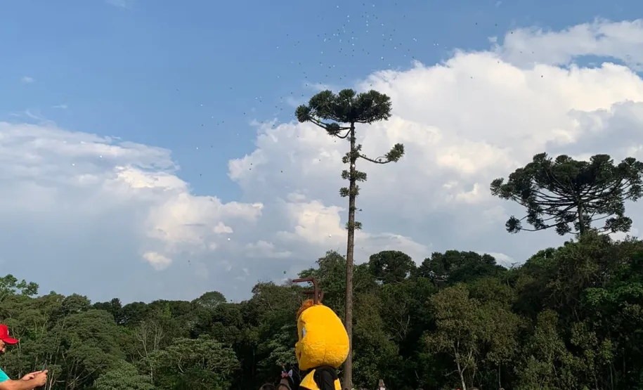 crianças observando os balões voando