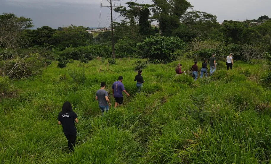Rota para o plantio.