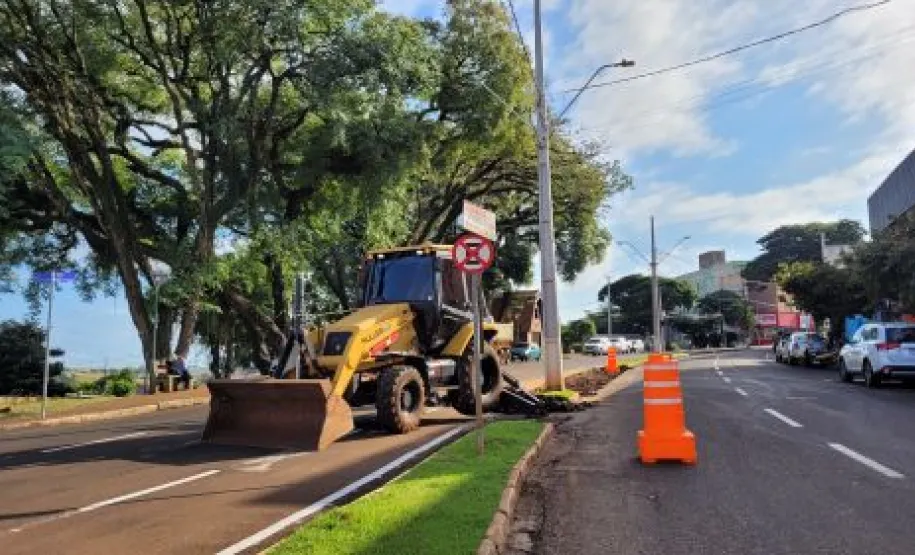 imagem de melhorias nos canteiros