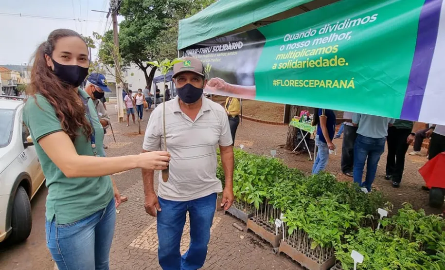 Paraná + Verde
