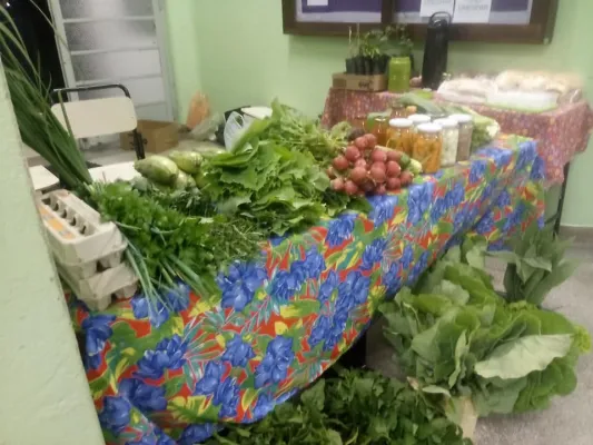 Feira na Unespar, 26 de setembro de 2019