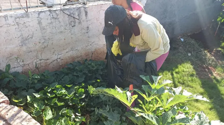 Mutirão de Limpeza - Dengue