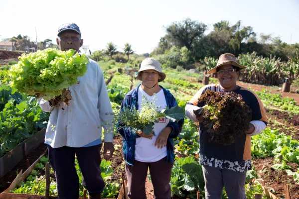 Da esquerda para direita, seo Aldevandro dos Santos, Zilda Moreira e Idalina Marcelino, todos possuem canteiros na horta comunitária do Conjunto Guaiapó – Foto: Cary Bertazzoni/PMM