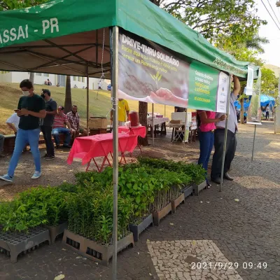 Paraná + Verde